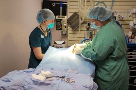 Minnetonka Animal Hospital