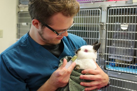 Minnetonka Animal Hospital