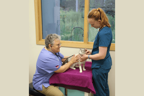 Minnetonka Animal Hospital