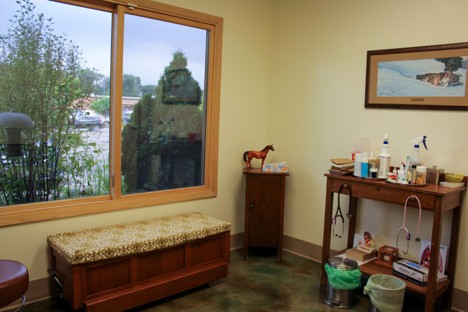 Minnetonka Animal Hospital