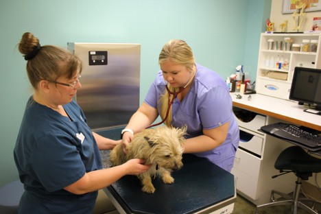 Minnetonka Animal Hospital