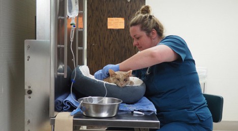 Minnetonka Animal Hospital