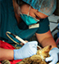 Minnetonka Animal Hospital