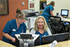Minnetonka Animal Hospital