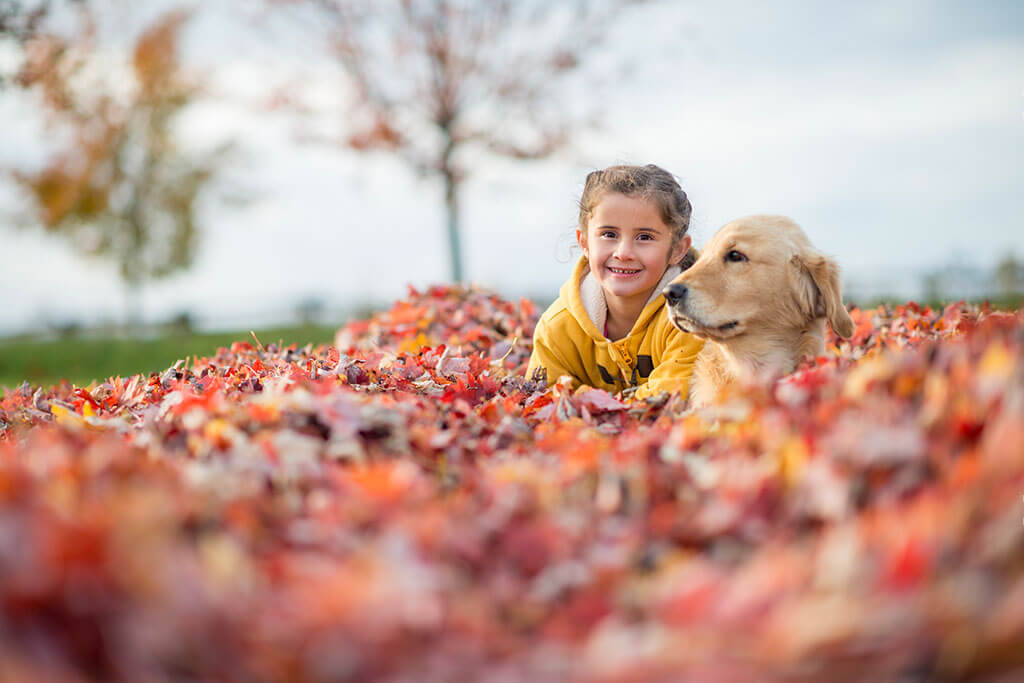 Pet Family
