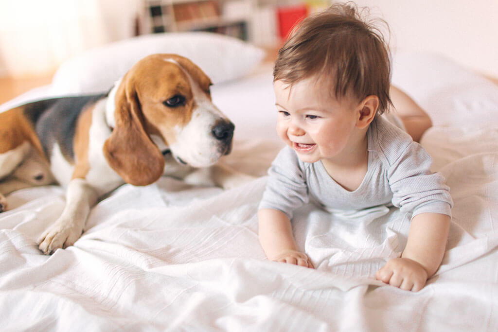 Baby and Dog