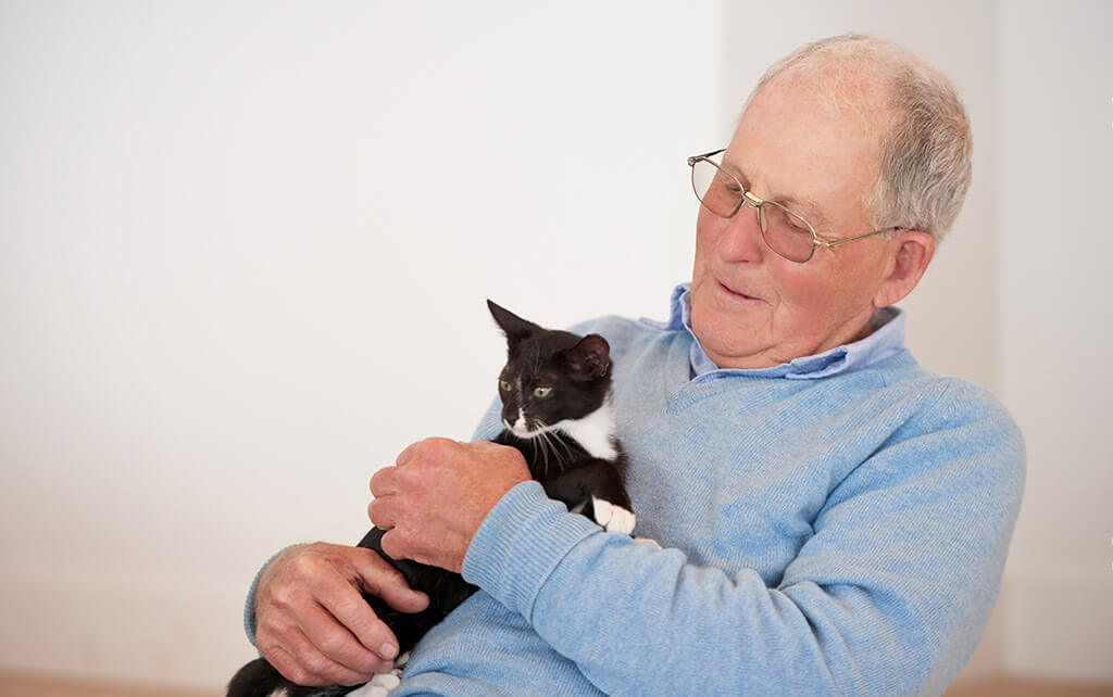 Senior and Kitten