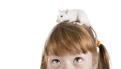 Girl with Rat